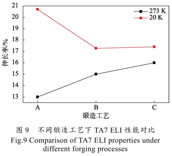 1699223182704085.jpg t9.jpg