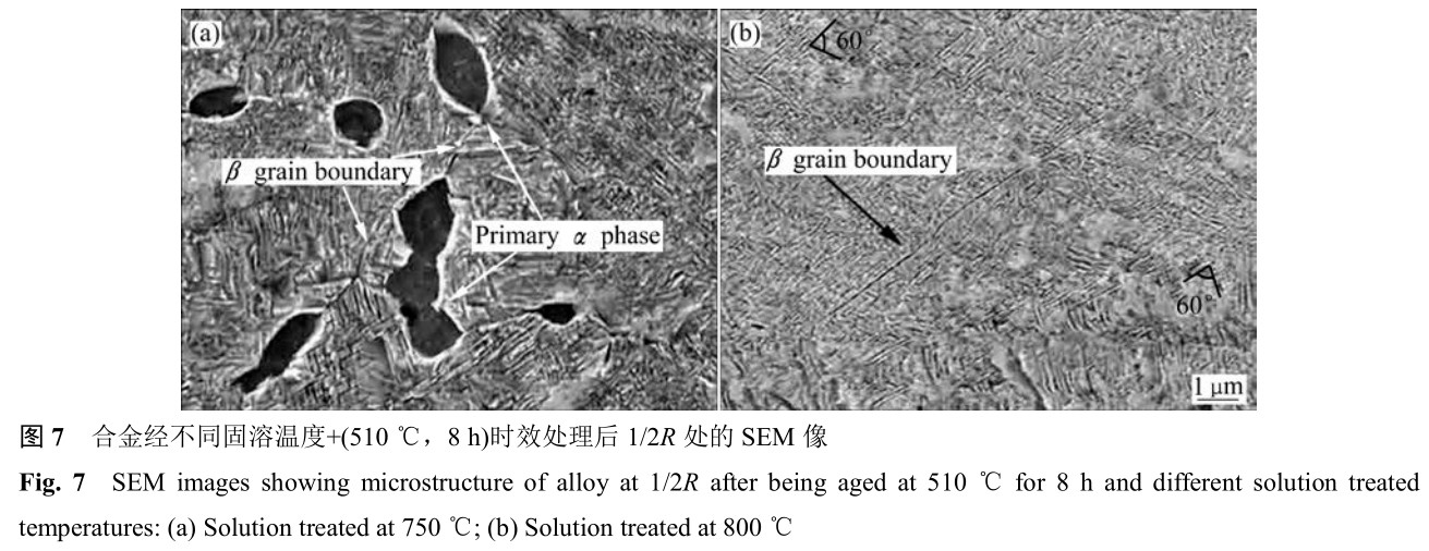 1700405112800647.jpg t7.jpg