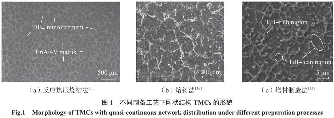 1701736468346653.jpg t1.jpg