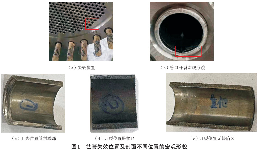 1712629192647465.jpg 1.jpg