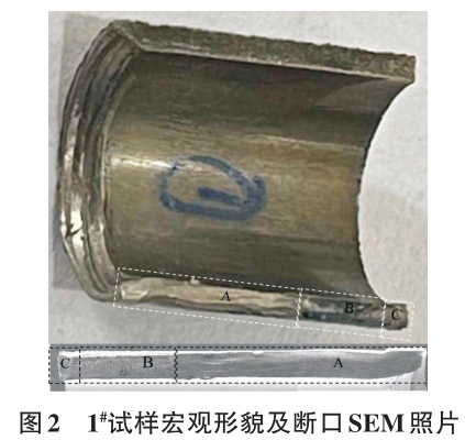 1712629209801456.jpg 2.jpg