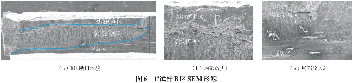 1712629242659358.jpg 6.jpg