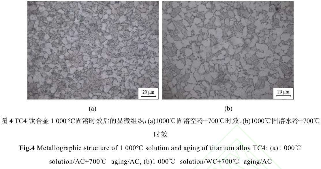 1720272755652460.jpg 360截圖16510926537532.jpg