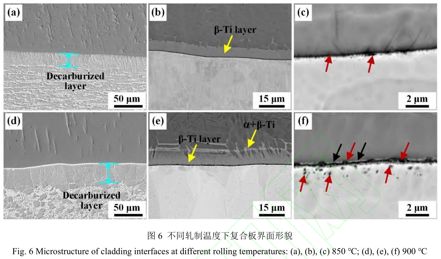 1728563854233836.jpg t6.jpg