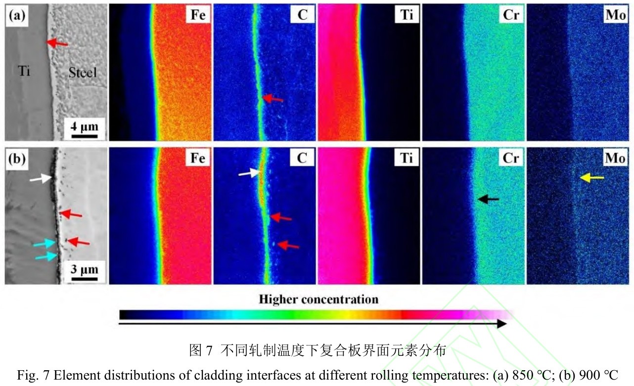 1728563863996216.jpg t7.jpg