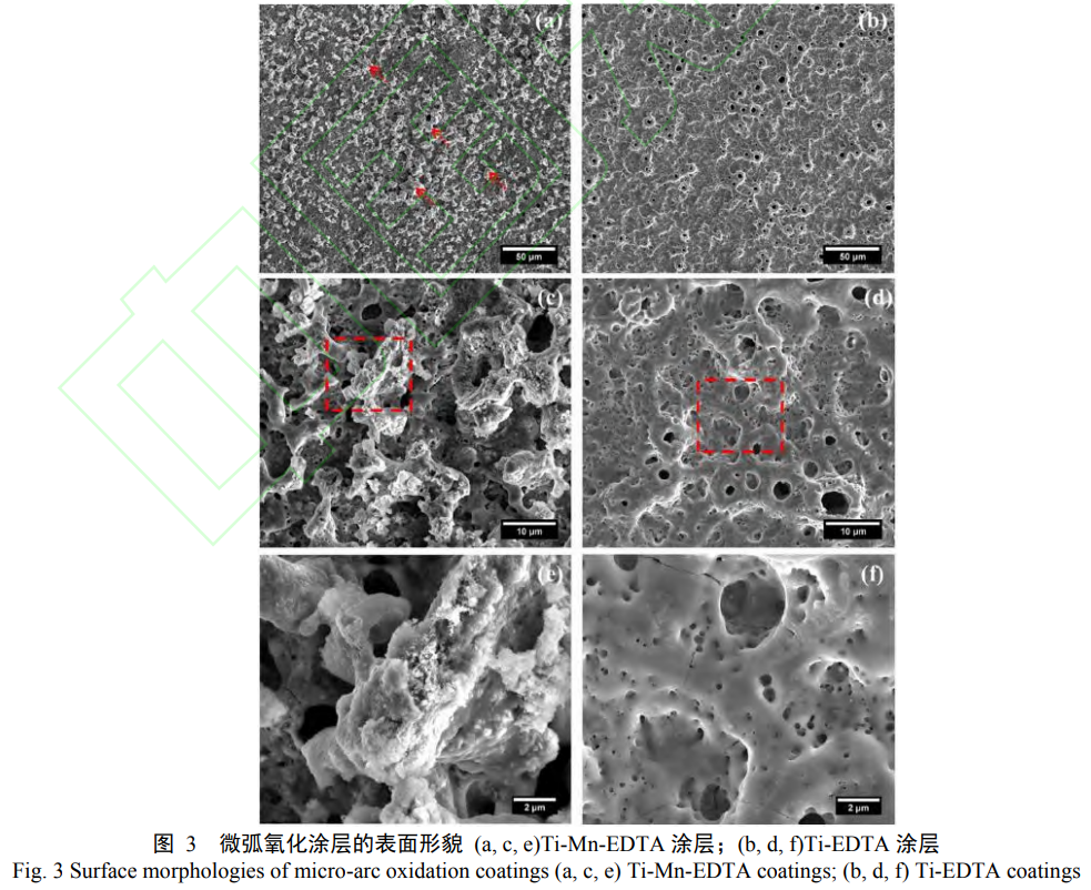 1738674173834845.png 3.png